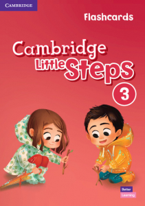 Cambridge Little Steps Level 3 Flashcards